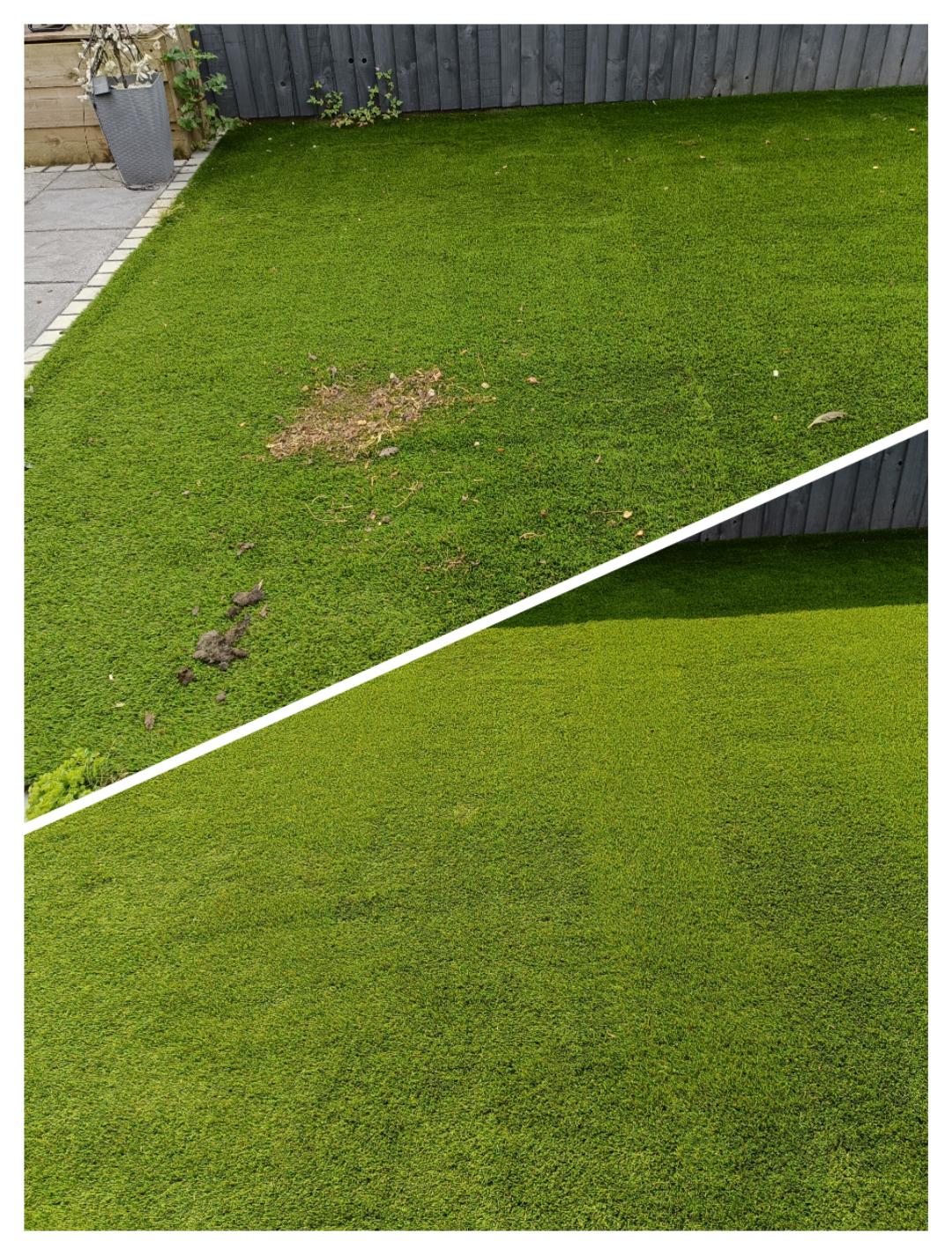 Close-up of pressure washing lifting algae from paving